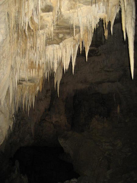 In the Ruakuri Cave 2