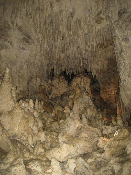 The Ruakuri Cave 3