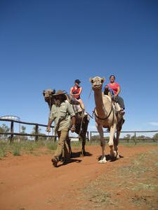 Take a camel ride!!!