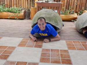 Donny the Giant Tortoise