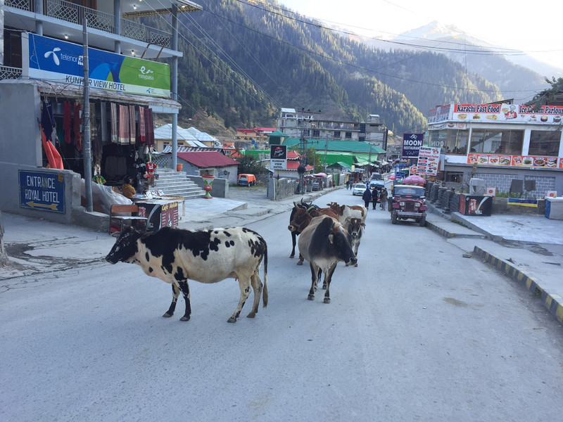 Typical Northern Pakistan village in the mountains