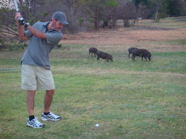Golfing with Warthogs