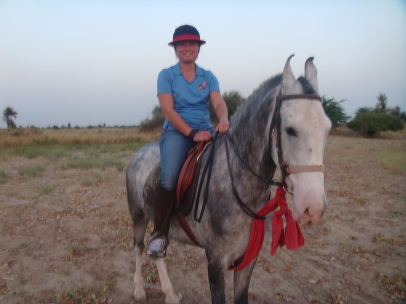 Marwari Horse back riding