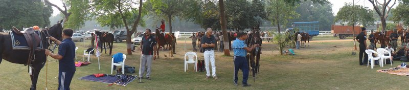 Polo in Delhi