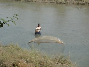 Local Fisherman in Chitwan