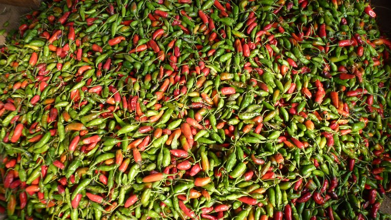 Chili peppers anyone?