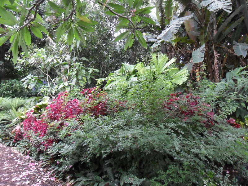 Royal Botanic Gardens, Sydney