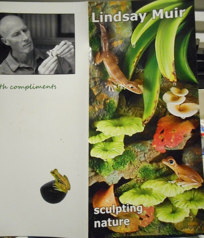 Lindsay Muir's Brochure (see previous entry)