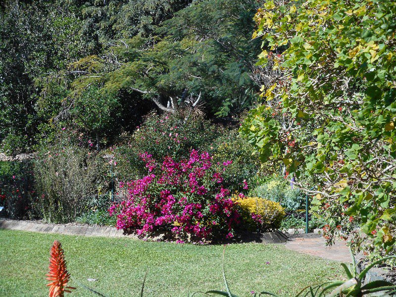 Noosa Botanic Gardens