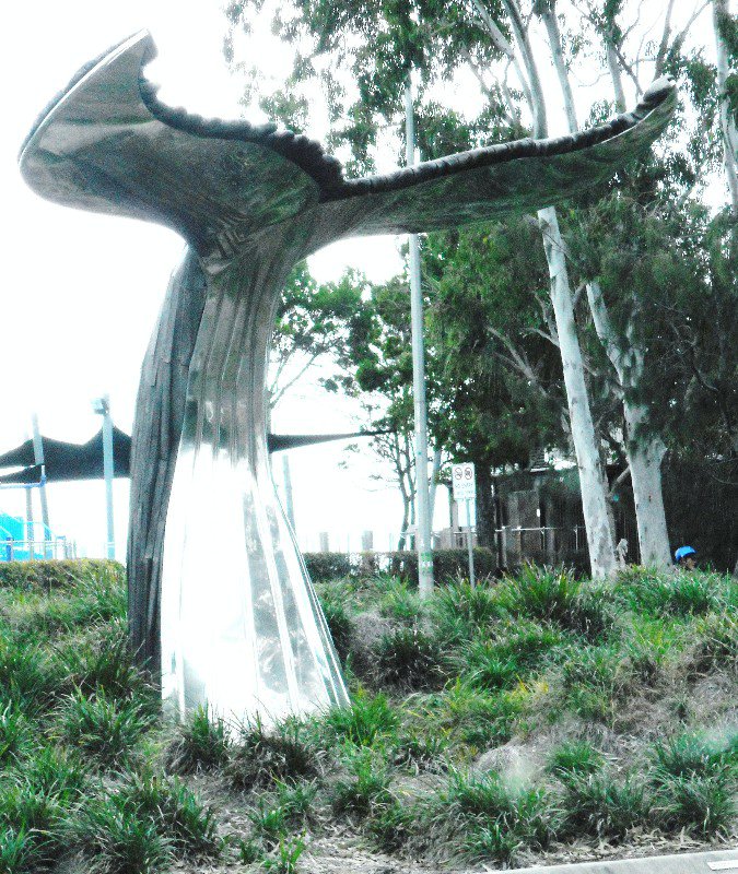 One of the many whale sculptures in Hervey Bay