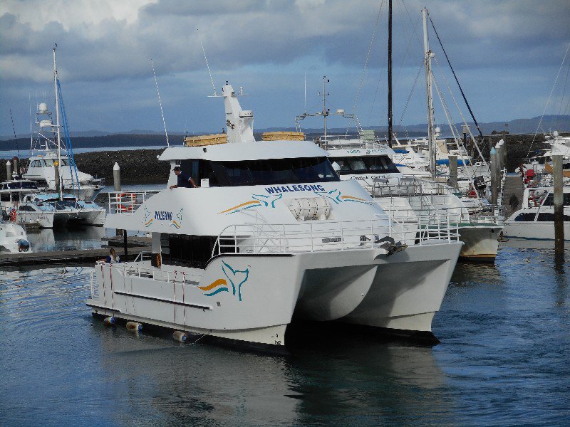 The "Whalesong" Catamaran