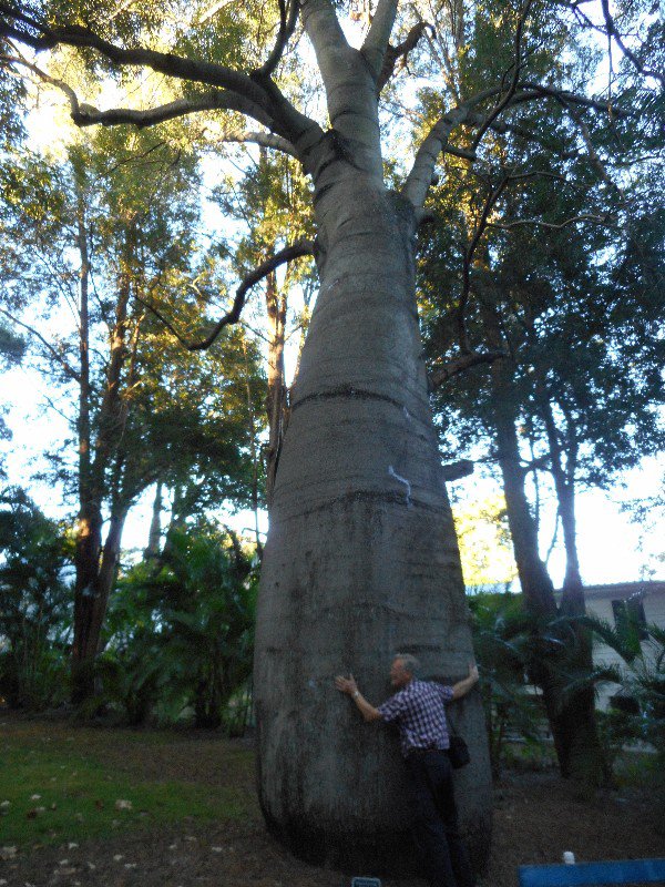 Barry Getting Up Close and Personal with a Bottle Tree