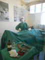 The Operating Theatre Display