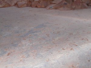 Part of the Dinosaur Stampede at Lark Quarry