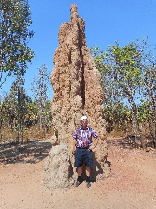 A Massive Cathedral Termite Mound