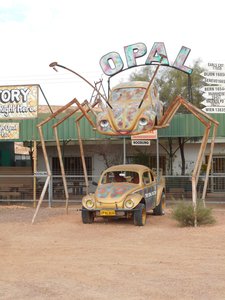 The Opal Beetle, Coober Pedy