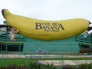 The Big Banana!