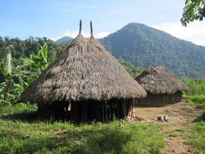 Mutangi huts