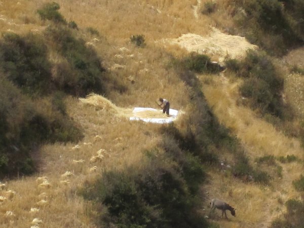 A Quechua man working the fields as we pass 