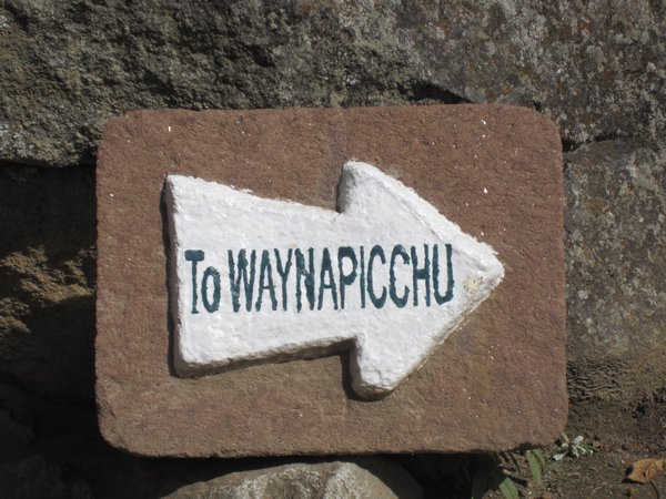 Waynu Picchu map