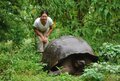 Now that's a big tortoise!  