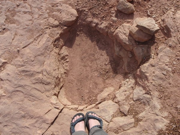 brontosaurs footprint