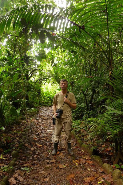 an intrepid jungle explorer