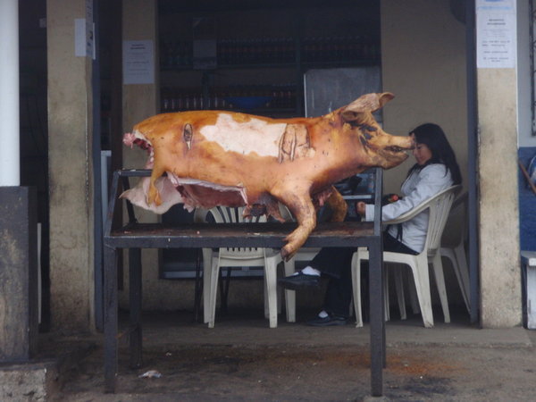 Sunday is hog roast day in Ecuador