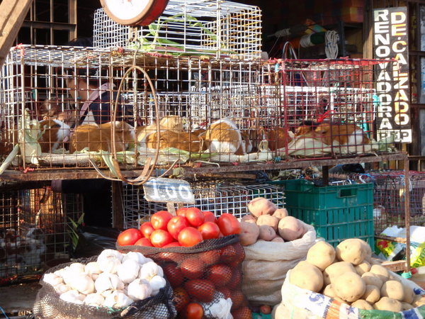 Chiclayo market