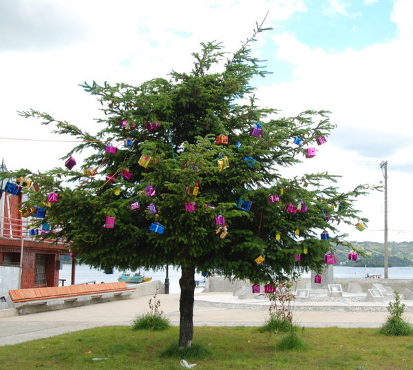 A traditional Xmas tree on Chiloe Island