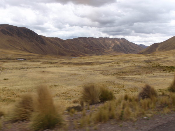 back riding the altiplano