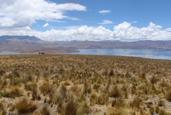 an altiplano lake