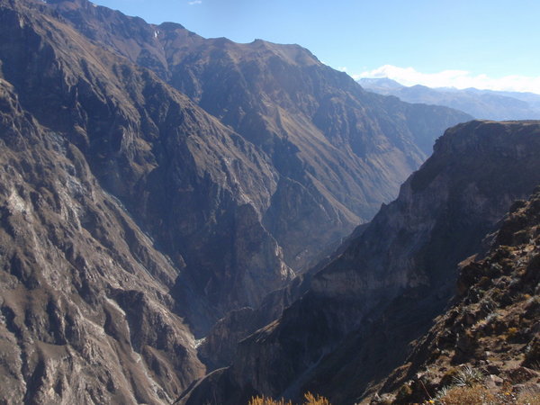 Mirador del Condor - Colca Canyon