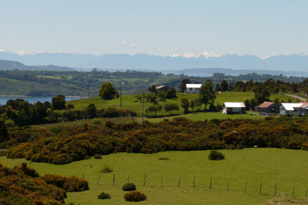 typical Chiloe landscape