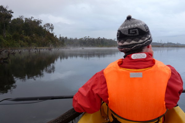 a dawn paddle throug the sunken forest