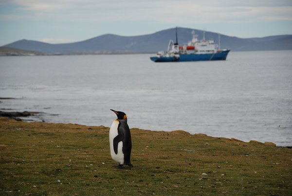 sailing away from the Falklands