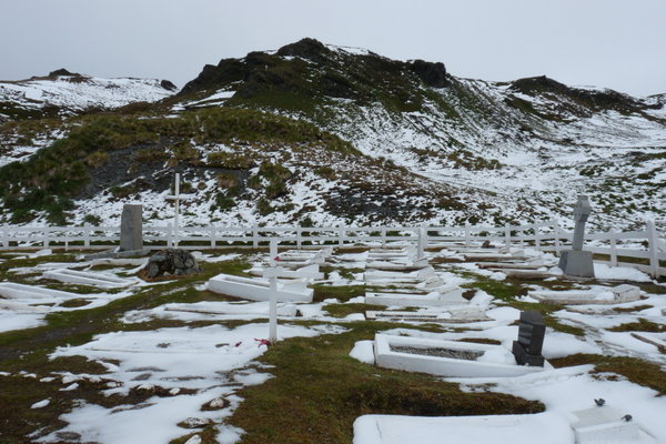 the graveyard at Grytviken
