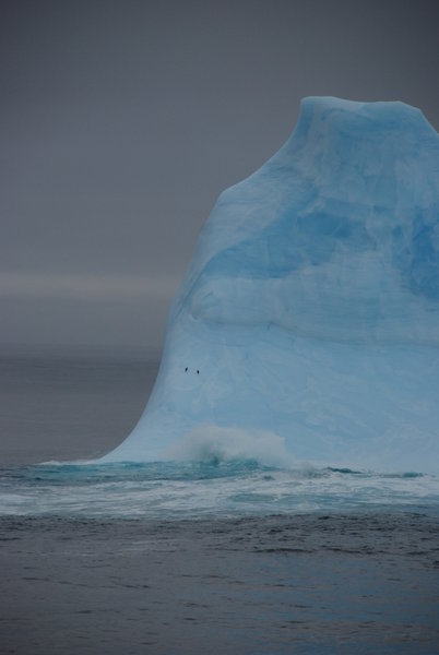 for scale - those two small black dots are the penguins