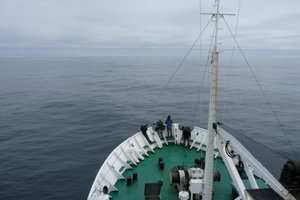 Heading out into the Scotia Sea