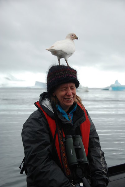 the latest fashion in Antarctic headgear
