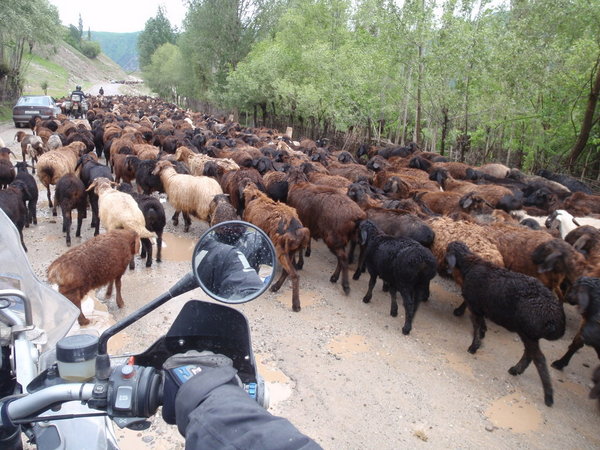 a typical traffic jam