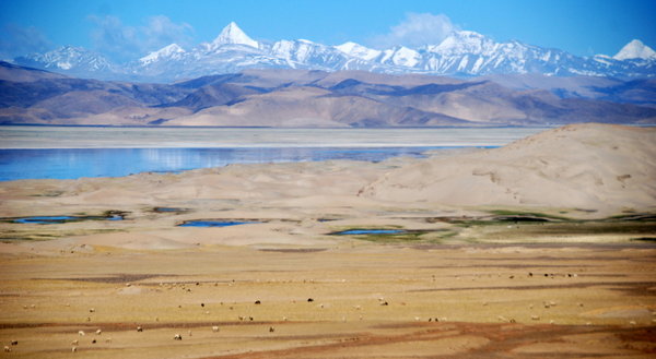 the perfect Tibetan view - yaks grazing, blue lakes and snowy mountains