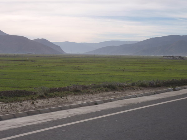 I never pictured Tibet having miles and miles of green fields