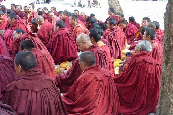 monks chanting at Sera Monastery