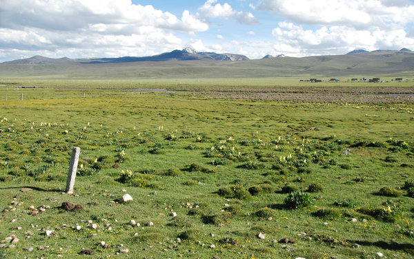 Maoya Grasslands