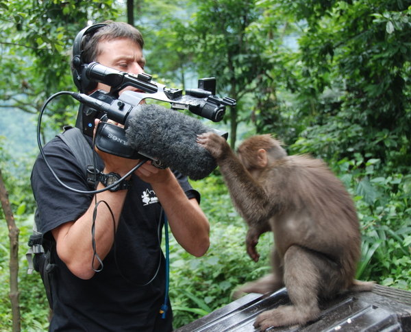macaques trying to decide if Adam's camera is edible
