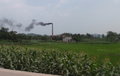 rice paddies complete with roadside maize and the ubiquitous smoking chimney