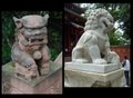 guardian lions outside the temples and in the forests