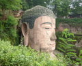 the Buddhas head