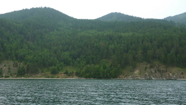 typical forested coast line